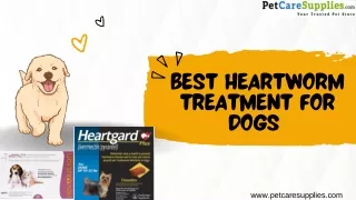 5 Best Heartworm Treatment for Dogs| petcaresupplies|