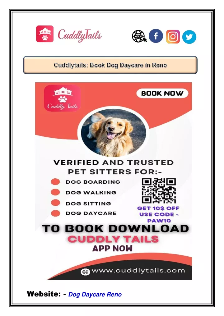 website dog daycare reno