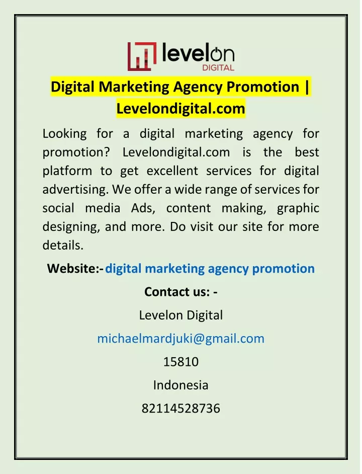 digital marketing agency promotion levelondigital