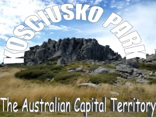 kosciusko park