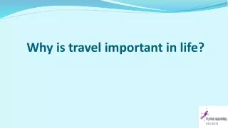 Why is travel important in life?