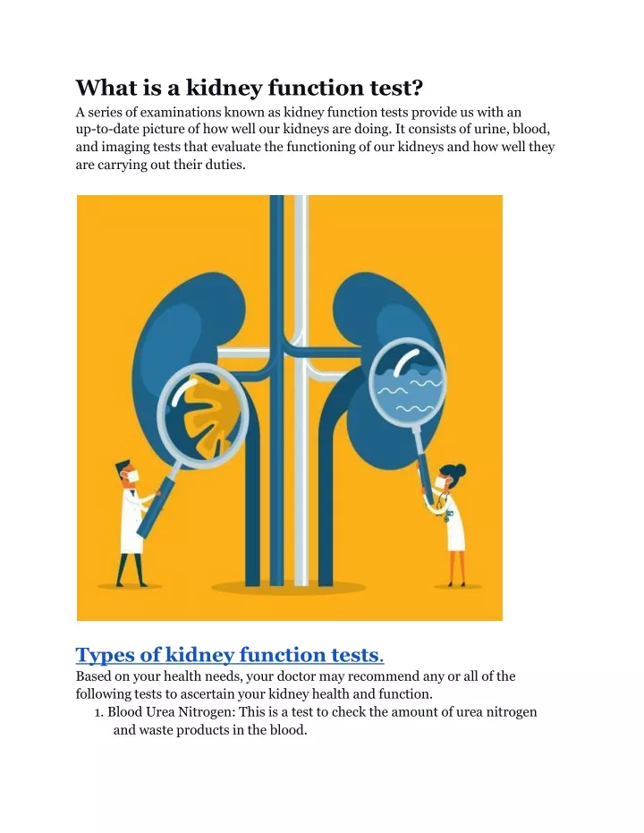 what is a kidney function test a series