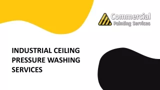 INDUSTRIAL CEILING PRESSURE WASHING SERVICES
