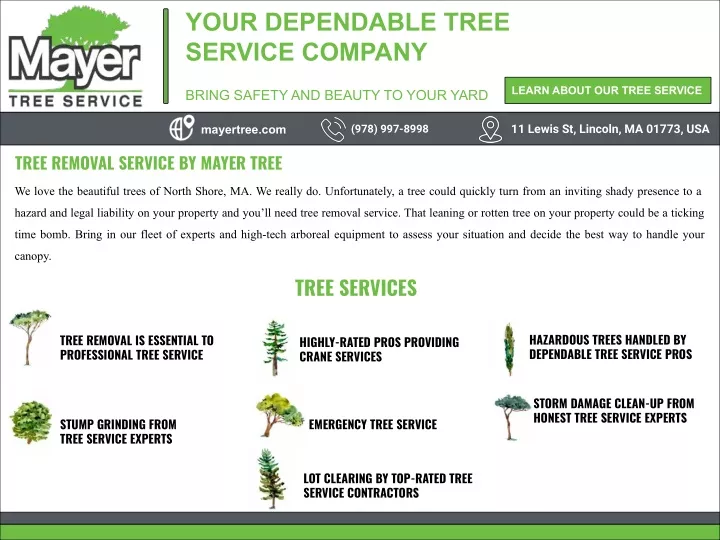 your dependable tree service company