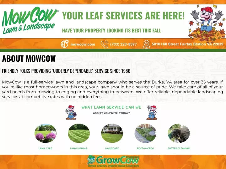 your leaf services are here