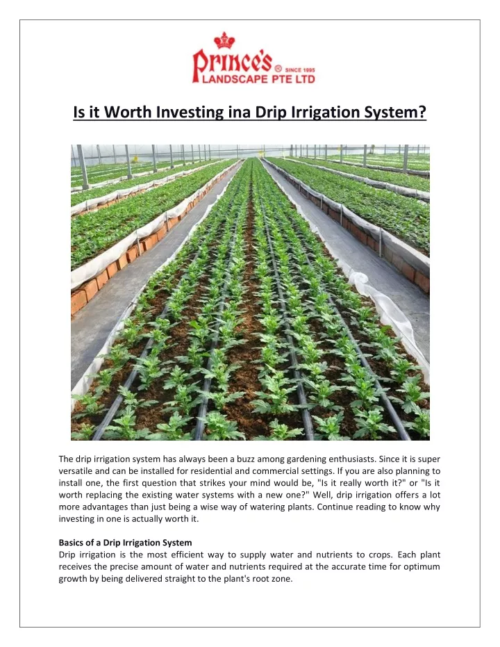 is it worth investing ina drip irrigation system