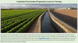 Understand The Gravitas Of Agriculture Loans For Farming