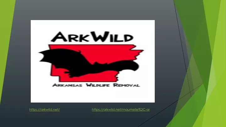 https arkwild net