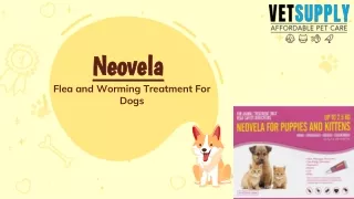 Neovela (Selamectin) Flea And Worming For Dogs | Flea & Tick Control | VetSupply