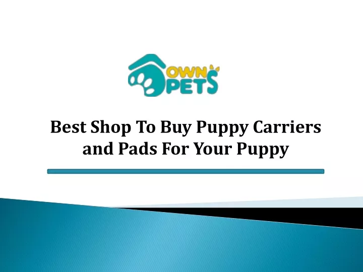 best shop to buy puppy carriers and pads for your