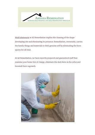 mold abatement process