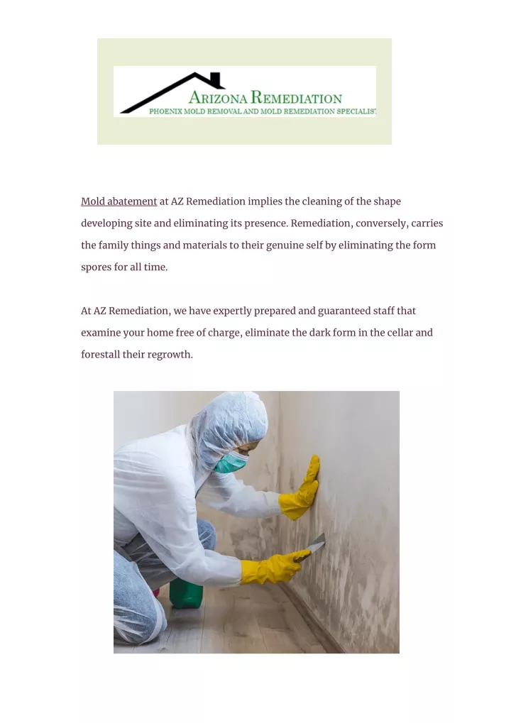 mold abatement at az remediation implies