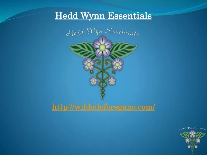 hedd wynn essentials