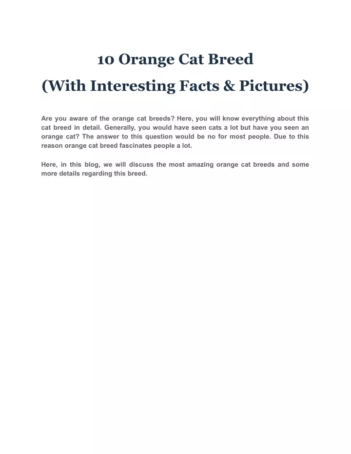 10 orange cat breed