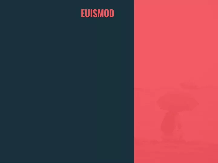 euismod