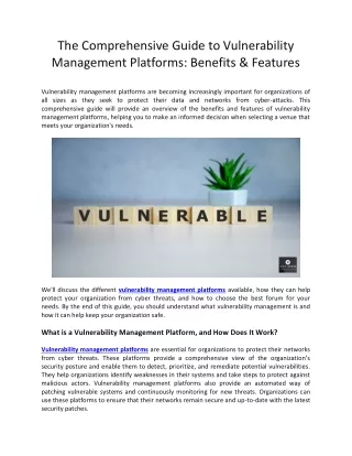The Comprehensive Guide to Vulnerability Management Platforms