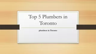 Top 5 Plumbers in Toronto