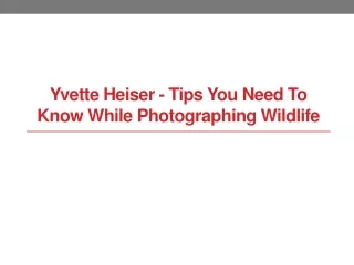 Yvette Heiser - Tips You Need to Know While Photographing Wildlife