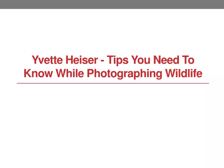 yvette heiser tips you need to know while photographing wildlife