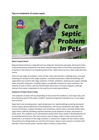 Tips on treatment of canine sepsis