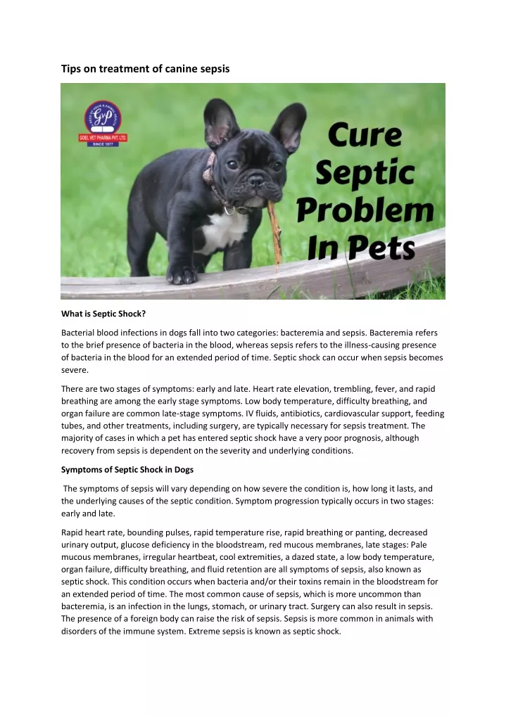 tips on treatment of canine sepsis