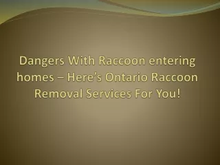 Dangers With Raccoon entering homes – Here’s Ontario Raccoon Removal Services!