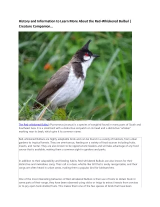 History and Information to Learn More About the Red-Whiskered Bulbul | Creature