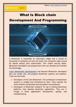 What Is Blockchain Development And Programming