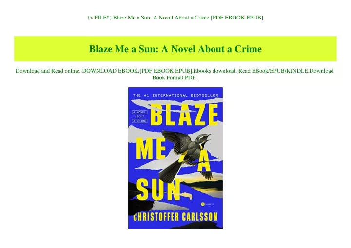 file blaze me a sun a novel about a crime