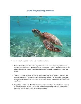 5 ways that you can help sea turtles!