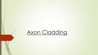 axon cladding