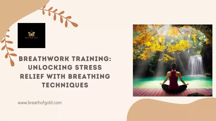 Ppt - Breathwork Training Unlocking Stress Relief With Breathing 