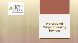 Professional Carpet Cleaning Services