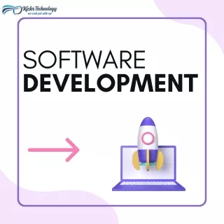 software development