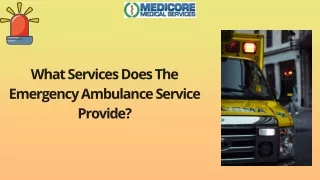 what services does the emergency ambulance
