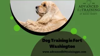 Get an Obedient and Well-Behaved Dog with Dog Training in Fort Washington