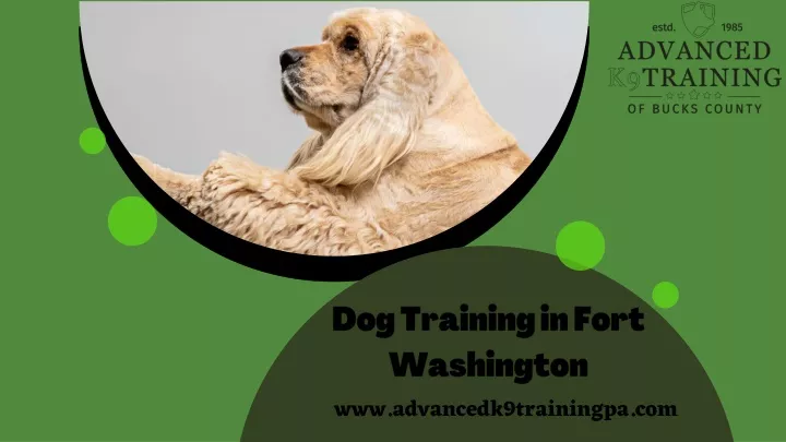 dog training in fort washington