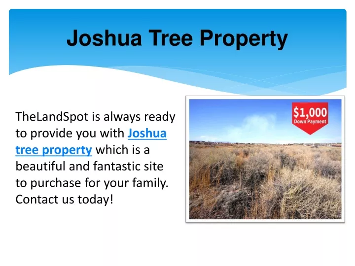 joshua tree property