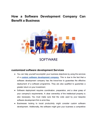 How a Software Development Company Can Benefit for Business