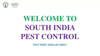 Cockroach Control in Chennai