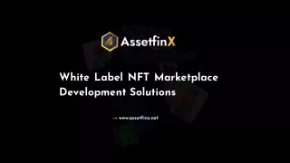 white label nft marketplace development solutions