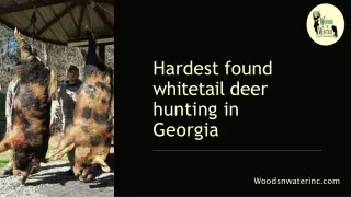 Hardest found whitetail deer hunting in Georgia