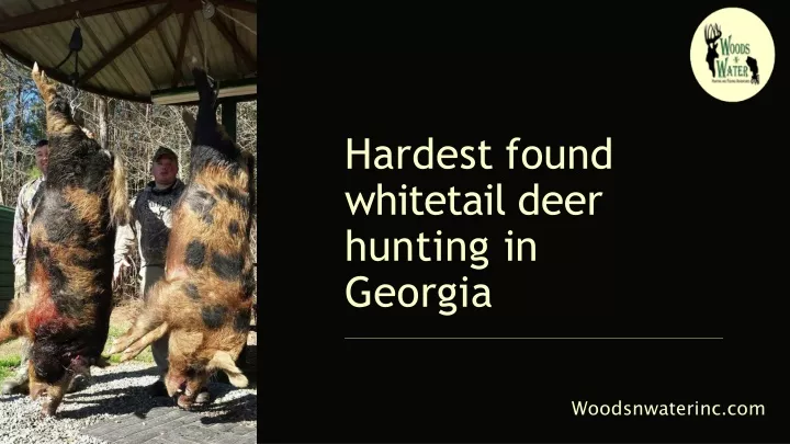 hardest found whitetail deer hunting in georgia