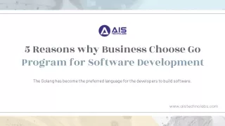 5 Reasons why Business Choose Go Program for Software Development
