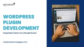 wordpress wordpress plugin plugin development