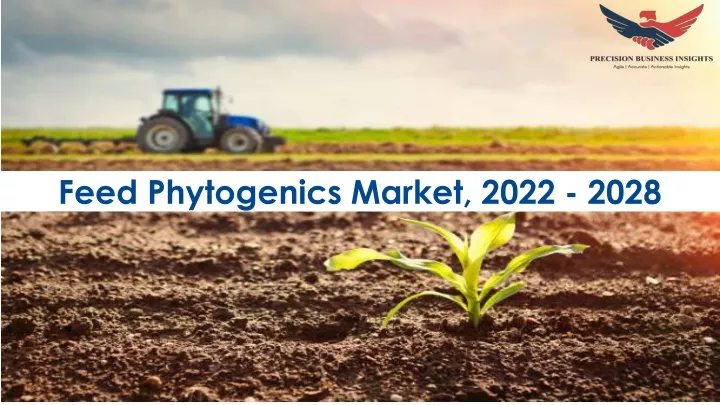 feed phytogenics market 2022 2028