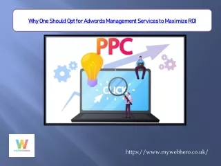 why one should opt for adwords management
