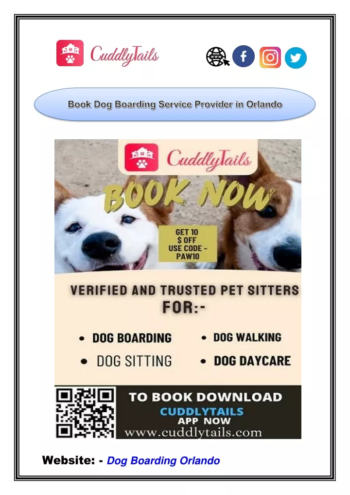 website dog boarding orlando