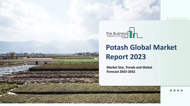 potash global market report 2023