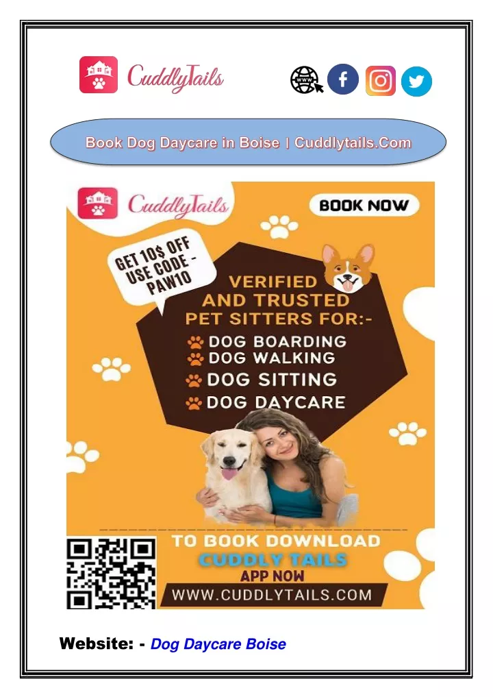 website dog daycare boise